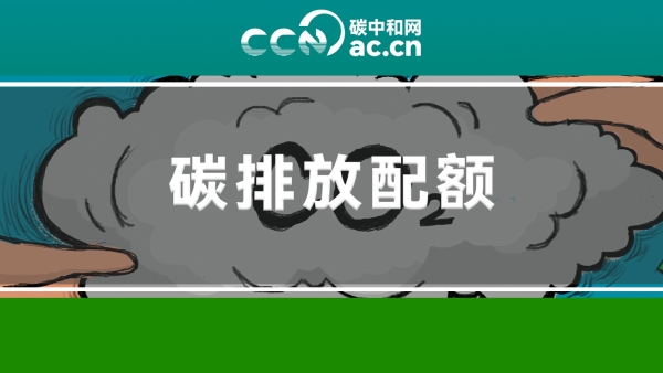 关于印发《北京市碳排放配额有偿竞价收入管理办法》的通知