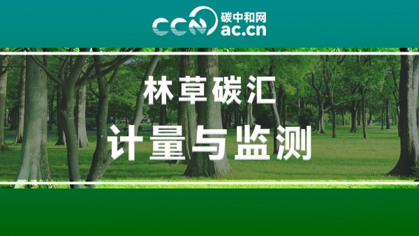 关于开展林草碳汇计量与监测服务组织能力评价工作的通知