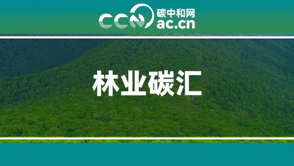 关于印发《雅安市林草碳汇项目开发试点工作方案(2022-2025年)》的通知