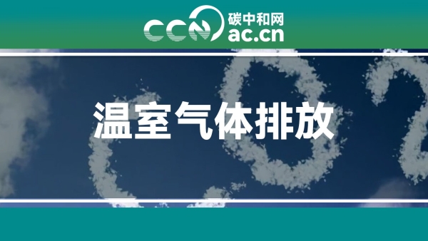 关于印发《宁夏回族自治区重点排放单位温室气体排放报告核查技术服务机构管理办法(试行)》的通知