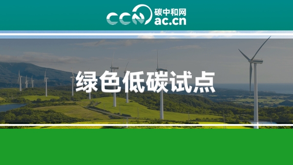 关于印发《东侨经济技术开发区锂电小镇绿色低碳试点片区创建实施方案》的通知