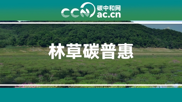 关于印发《四川省林草碳普惠管理办法(试行)》的通知