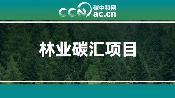 关于发布《林业碳汇项目质量评价指南》团体标准的公告