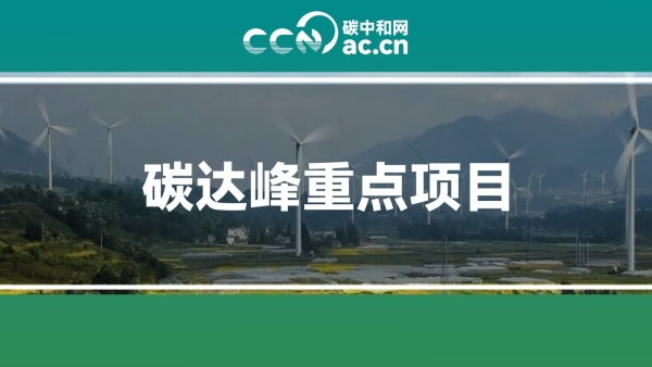 关于印发《黄浦区碳达峰重点项目实施方案》的通知
