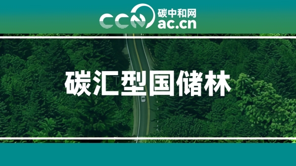 关于发布《碳汇型国家储备林经营指南》团体标准的公告