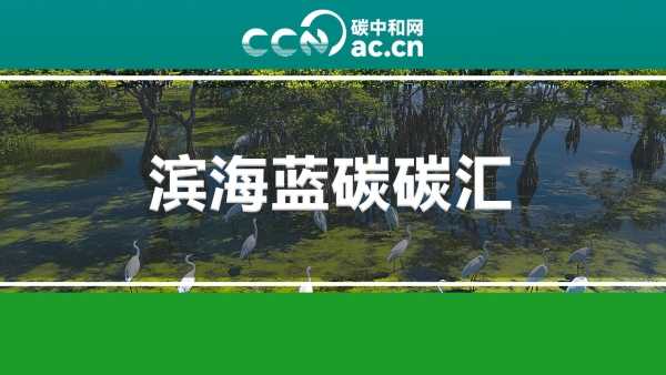 广东省地方标准批准发布公告（《滨海蓝碳碳汇调查与核算技术指南 第1部分：通则》等9项）