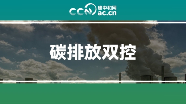 关于印发山东省“两高”建设项目碳排放减量替代办法的通知