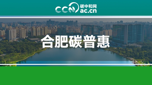 关于印发合肥市碳普惠体系建设试点工作方案的通知