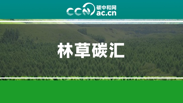 关于印发《宁夏林草碳汇资源管理办法（试行）》的通知