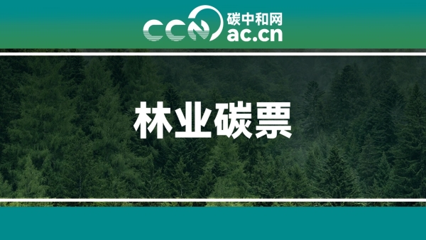 关于印发《靖州数字林业碳票管理办法(试行)》的通知