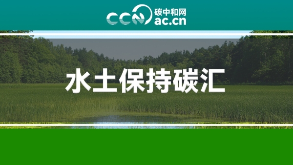 关于印发《马龙区水土保持碳汇交易资金监督管理使用办法（试行）》的通知