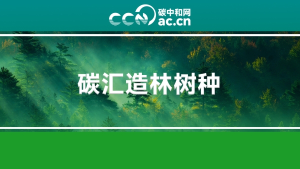 云南省林业和草原局发布主要固碳树种名录