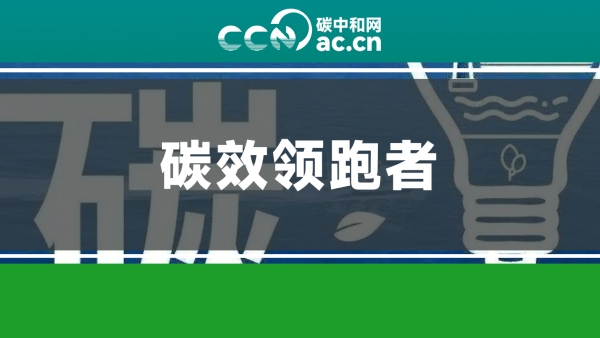 关于组织开展2026年度重点行业能效、碳效领跑者企业推荐工作的通知